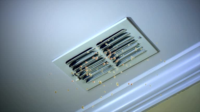 Best Dryer Vent Cleaning Services  in Sconsin Dells, WI